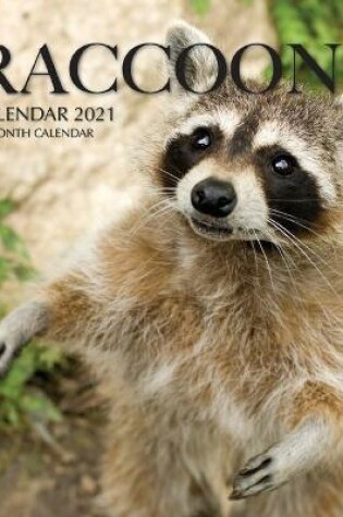 Cover of Raccoons Calendar 2021