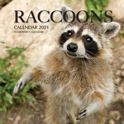 Book cover for Raccoons Calendar 2021