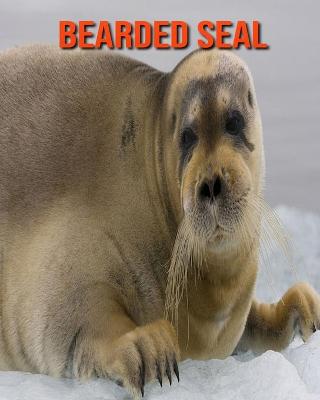 Book cover for Bearded Seal