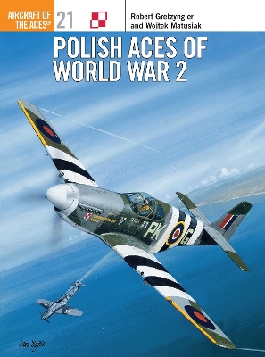 Cover of Polish Aces of World War 2