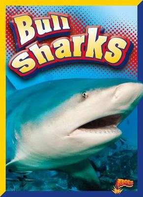 Book cover for Bull Sharks