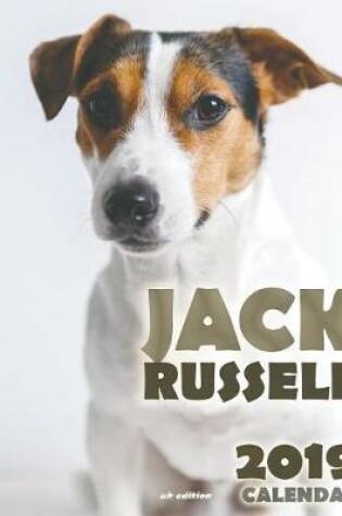 Cover of Jack Russell 2019 Calendar (UK Edition)