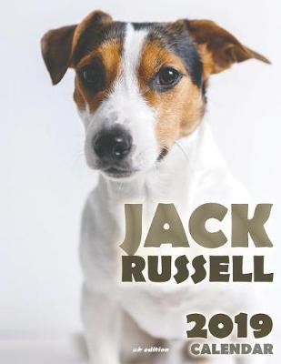 Book cover for Jack Russell 2019 Calendar (UK Edition)