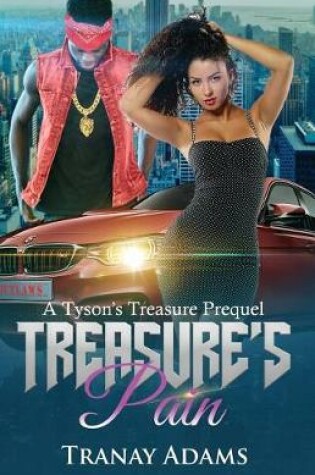 Cover of Treasure's Pain