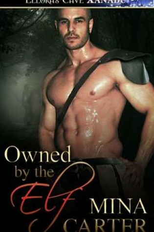 Cover of Owned by the Elf