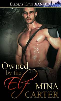 Book cover for Owned by the Elf