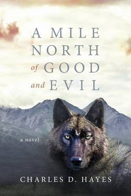 Book cover for A Mile North of Good and Evil