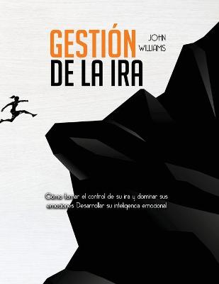 Book cover for Gestion de la ira