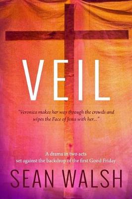 Book cover for Veil