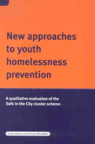 Cover of New Approaches to Youth Homelessness Prevention