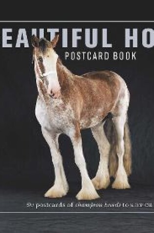 Cover of Beautiful Horses Postcard Book