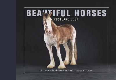 Book cover for Beautiful Horses Postcard Book