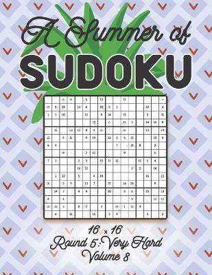 Book cover for A Summer of Sudoku 16 x 16 Round 5