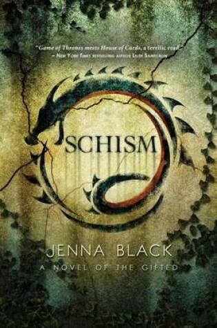 Cover of Schism