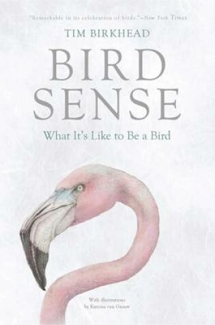 Cover of Bird Sense