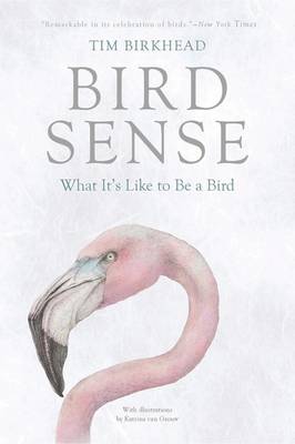 Book cover for Bird Sense