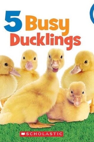 Cover of 5 Busy Ducklings (Rookie Toddler)
