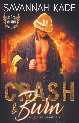 Book cover for Crash & Burn