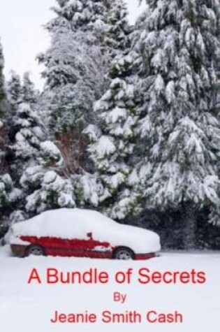 Cover of A Bundle Of Secrets