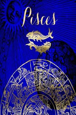 Cover of 2019 Daily Planner Pisces Symbol Astrology Zodiac Sign Horoscope 384 Pages