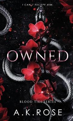 Book cover for Owned