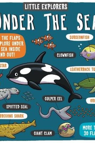 Cover of Little Explorers: Under the Sea