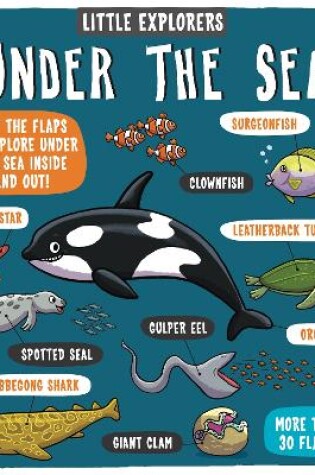 Cover of Little Explorers: Under the Sea