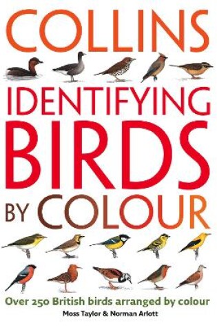 Cover of Identifying Birds by Colour