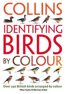 Book cover for Identifying Birds by Colour