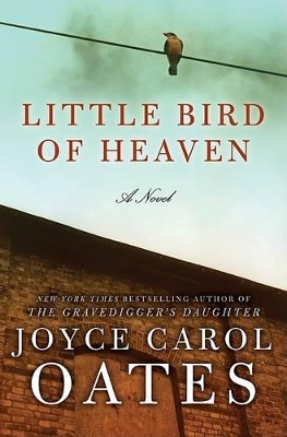 Book cover for Little Bird of Heaven