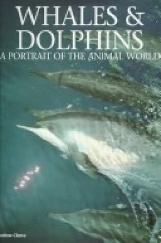 Cover of Whales and Dolphins