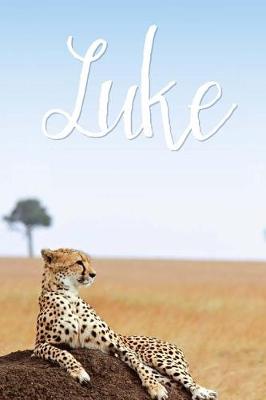 Book cover for Luke