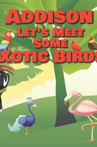 Cover of Addison Let's Meet Some Exotic Birds!