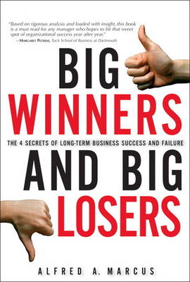 Book cover for Big Winners and Big Losers