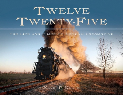 Book cover for Twelve Twenty-Five