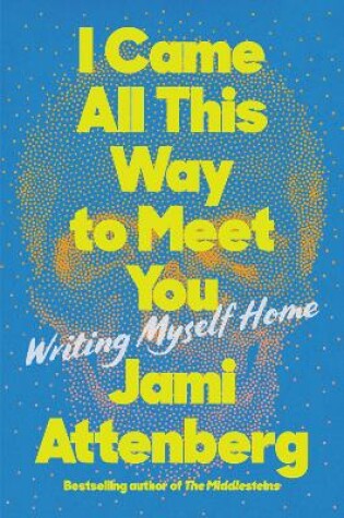 Cover of I Came All This Way to Meet You