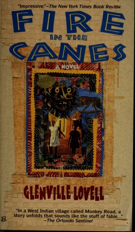 Book cover for Fire in the Canes