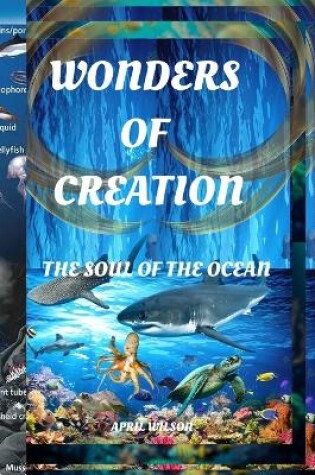Cover of Wonders of Creation