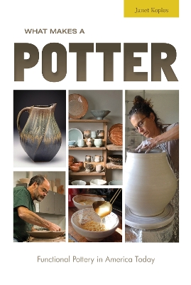 Book cover for What Makes a Potter