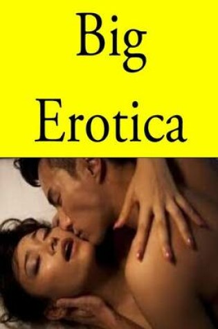 Cover of Big Erotica
