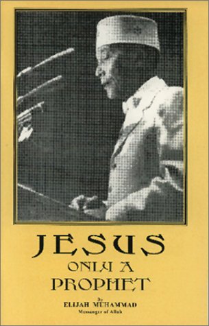 Book cover for Jesus: Only a Prophet