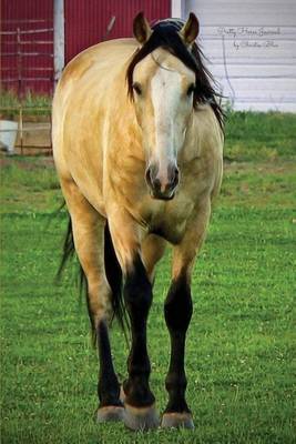 Book cover for Pretty Horse Journal