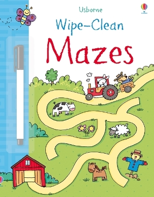 Book cover for Wipe-Clean Mazes