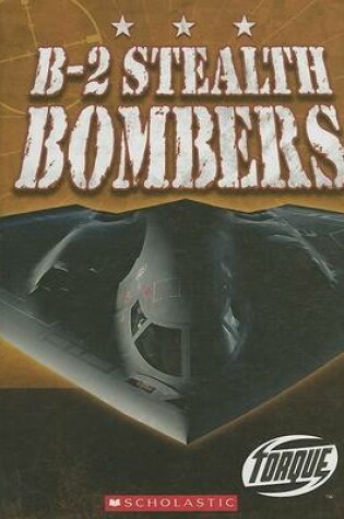 Cover of B-2 Stealth Bombers