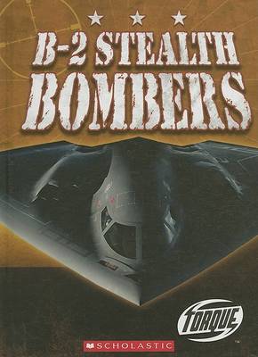 Book cover for B-2 Stealth Bombers