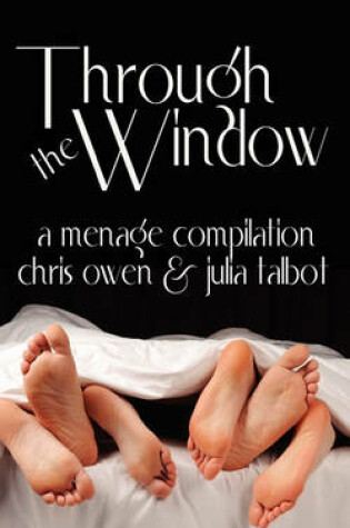 Cover of Through the Window