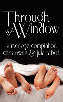 Book cover for Through the Window