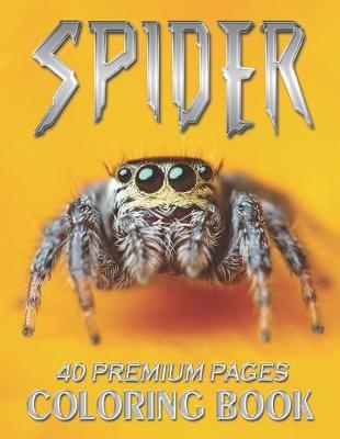 Book cover for Spider Coloring Book