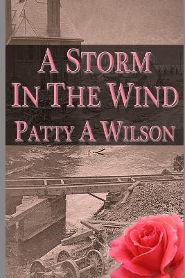 Book cover for A Storm in the Wind