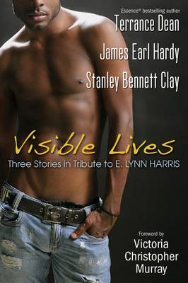 Book cover for Visible Lives